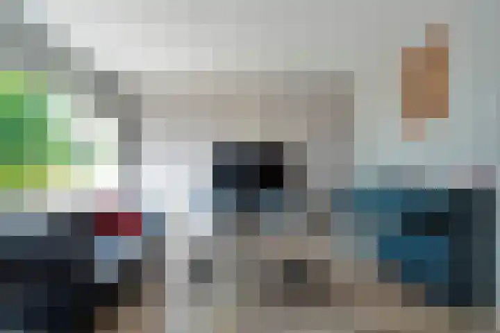 Meester Holtropstraat 10 Bruchterveld thumbnail 13