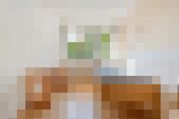 Meester Holtropstraat 10 Bruchterveld thumbnail 18