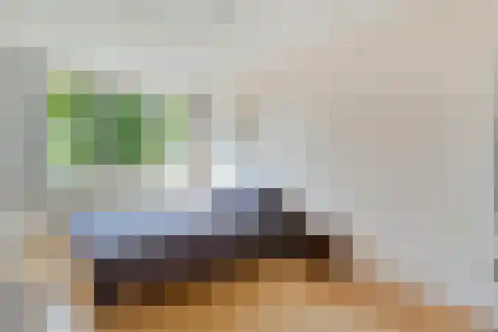 Meester Holtropstraat 10 Bruchterveld thumbnail 20