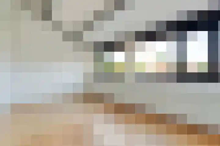 Meester Holtropstraat 10 Bruchterveld thumbnail 24