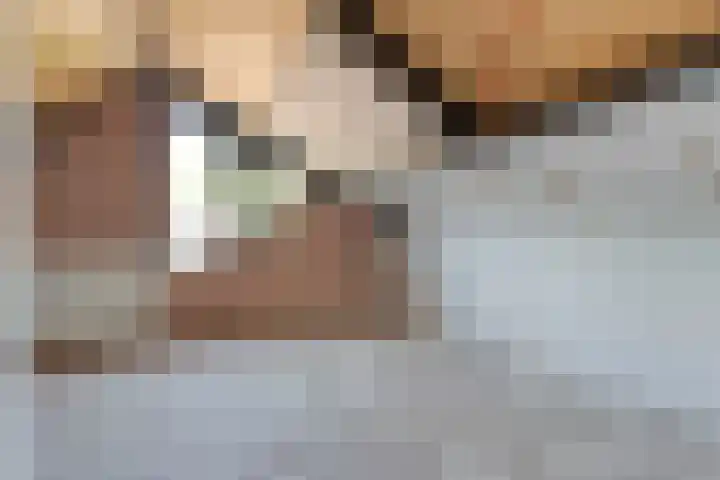 Meester Holtropstraat 10 Bruchterveld thumbnail 30