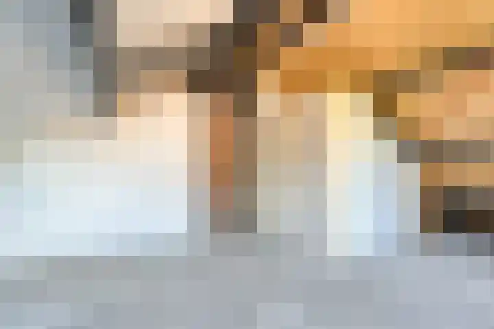 Meester Holtropstraat 10 Bruchterveld thumbnail 32