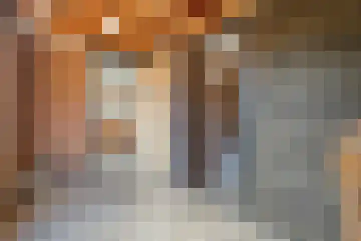 Meester Holtropstraat 10 Bruchterveld thumbnail 33