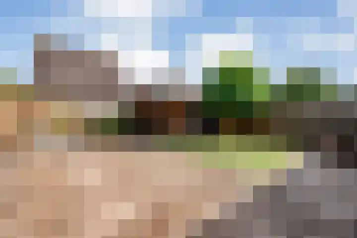 Meester Holtropstraat 10 Bruchterveld thumbnail 38