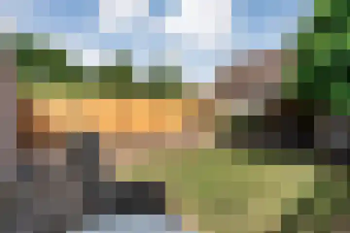 Meester Holtropstraat 10 Bruchterveld thumbnail 39