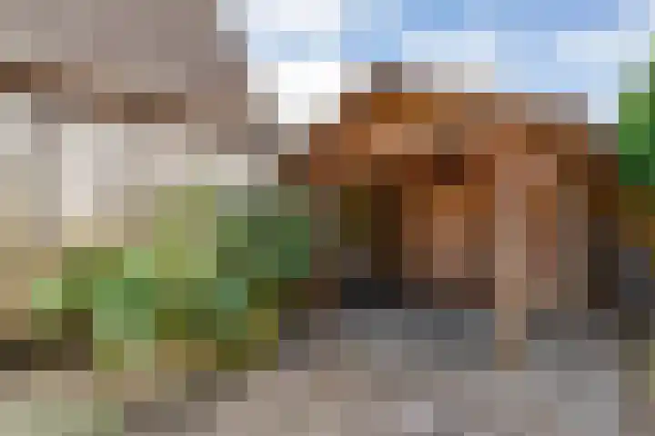 Meester Holtropstraat 10 Bruchterveld thumbnail 41