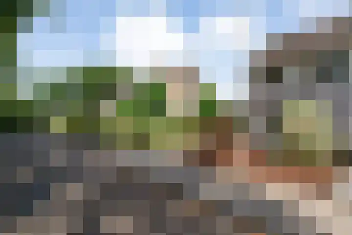 Meester Holtropstraat 10 Bruchterveld thumbnail 43