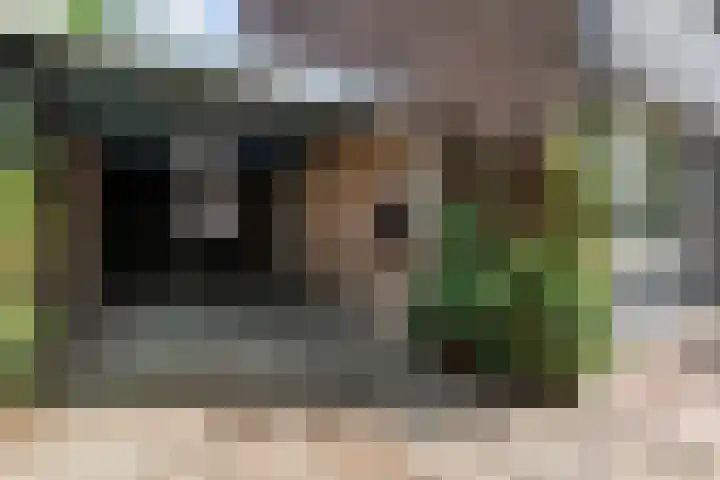 Meester Holtropstraat 10 Bruchterveld thumbnail 44