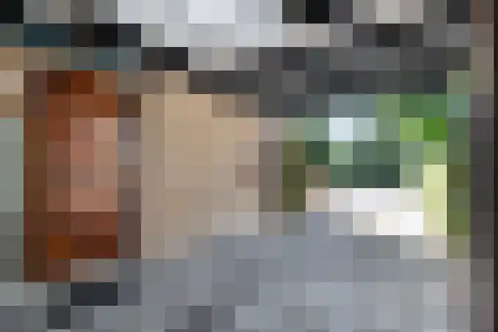 Meester Holtropstraat 10 Bruchterveld thumbnail 45