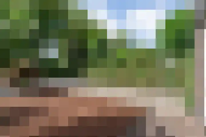 Meester Holtropstraat 10 Bruchterveld thumbnail 46