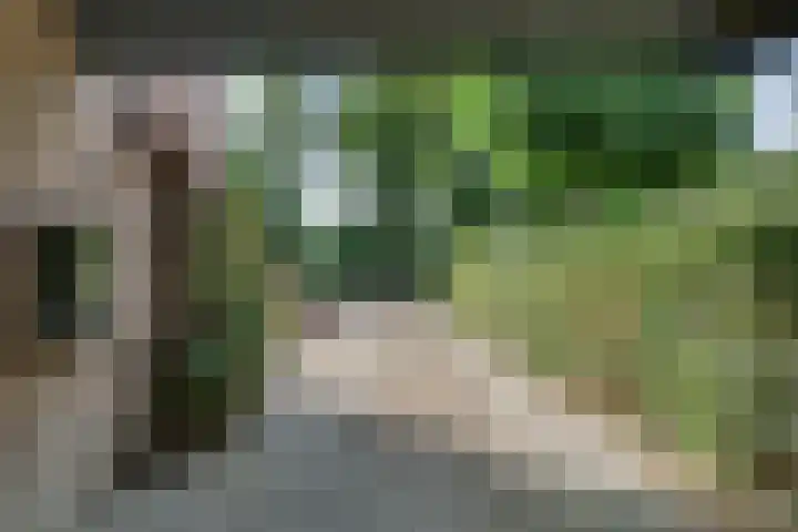 Meester Holtropstraat 10 Bruchterveld thumbnail 47