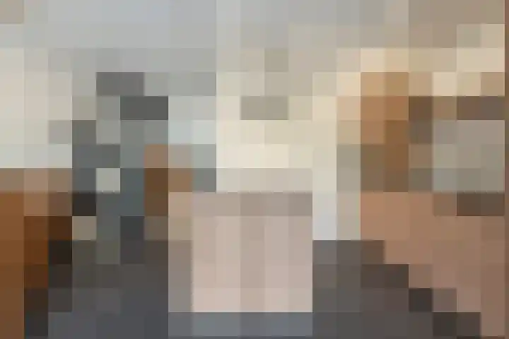 Meester Holtropstraat 10 Bruchterveld thumbnail 6