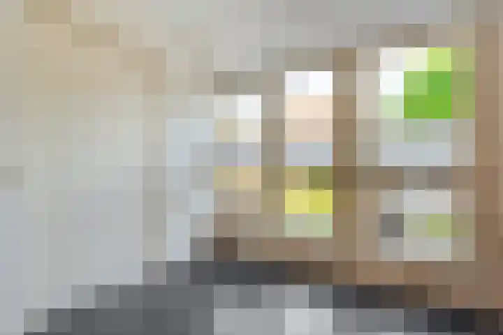 Meester Holtropstraat 10 Bruchterveld thumbnail 8