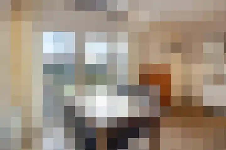 Meester Holtropstraat 16 Bruchterveld thumbnail 12