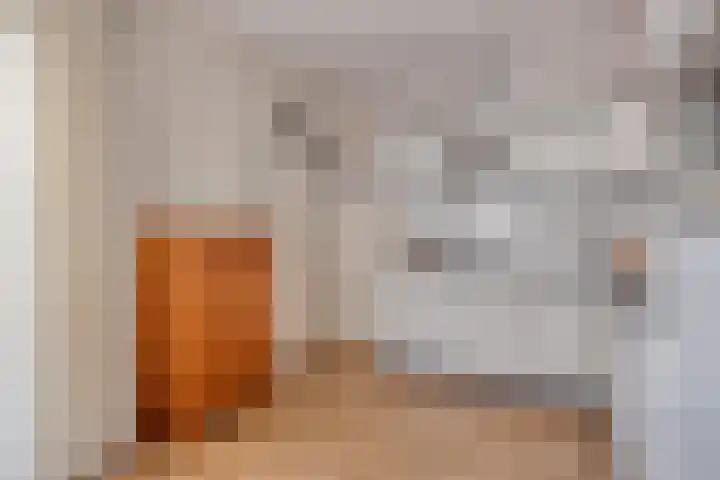 Meester Holtropstraat 16 Bruchterveld thumbnail 13
