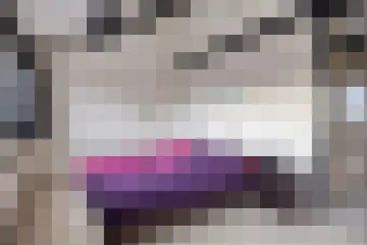 Meester Holtropstraat 16 Bruchterveld thumbnail 17