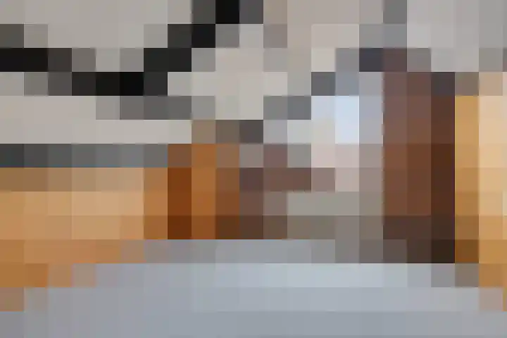 Meester Holtropstraat 16 Bruchterveld thumbnail 24