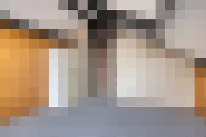 Meester Holtropstraat 16 Bruchterveld thumbnail 25