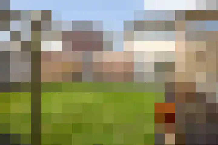 Meester Holtropstraat 16 Bruchterveld thumbnail 26