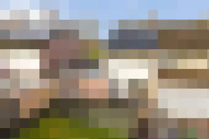 Meester Holtropstraat 16 Bruchterveld thumbnail 27
