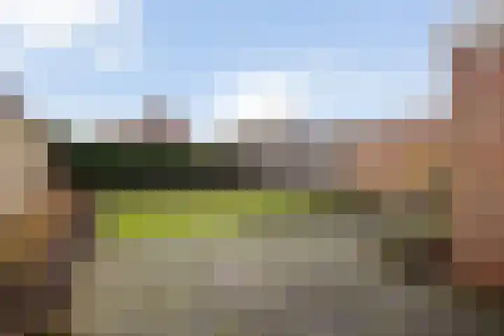 Meester Holtropstraat 16 Bruchterveld thumbnail 28