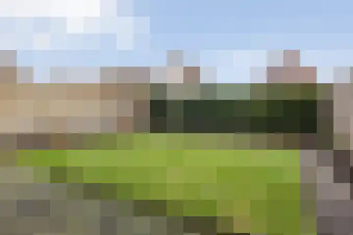 Meester Holtropstraat 16 Bruchterveld thumbnail 29