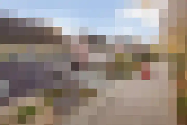 Meester Holtropstraat 16 Bruchterveld thumbnail 31