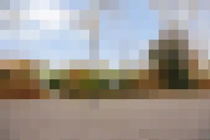 Meester Holtropstraat 16 Bruchterveld thumbnail 32