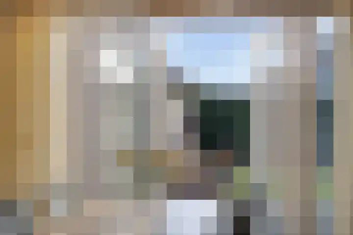 Meester Holtropstraat 16 Bruchterveld thumbnail 4