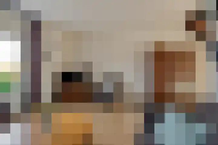 Meester Holtropstraat 16 Bruchterveld thumbnail 9