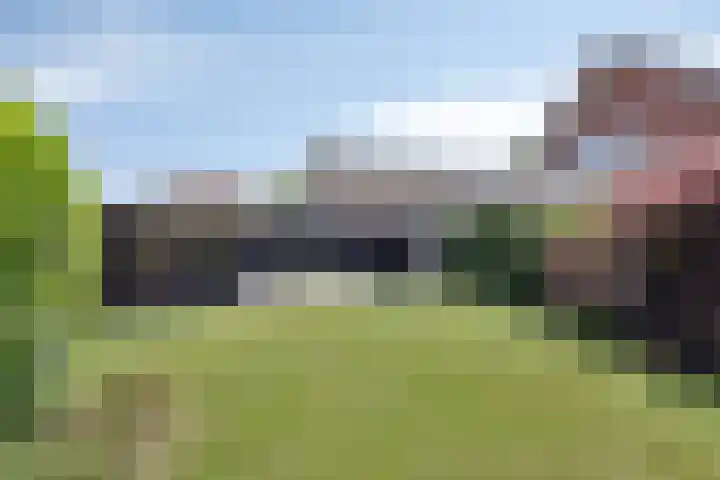 Meester Holtropstraat 26 Bruchterveld thumbnail 36