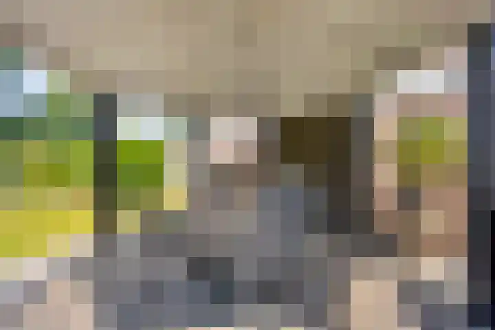 Meester Holtropstraat 26 Bruchterveld thumbnail 37