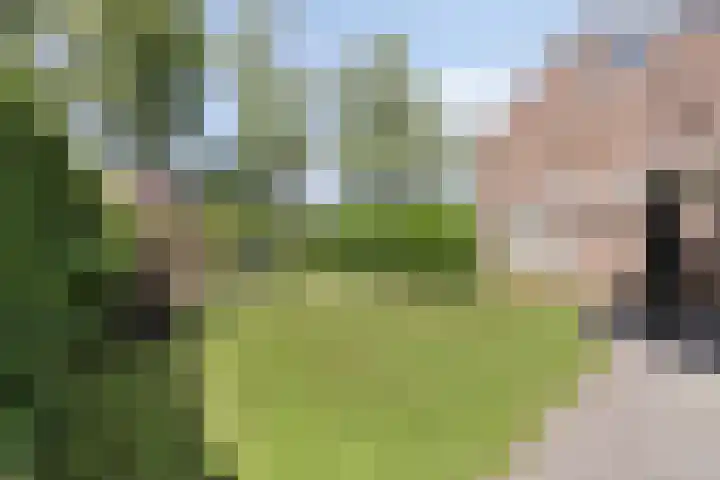 Meester Holtropstraat 26 Bruchterveld thumbnail 38