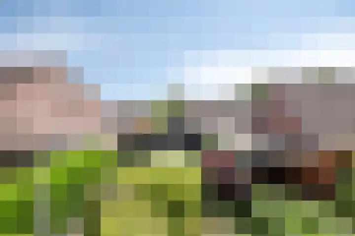 Meester Holtropstraat 26 Bruchterveld thumbnail 39