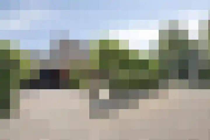 Meester Holtropstraat 26 Bruchterveld thumbnail 40