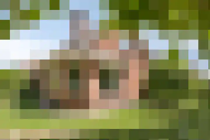 Meester Holtropstraat 26 Bruchterveld thumbnail 43
