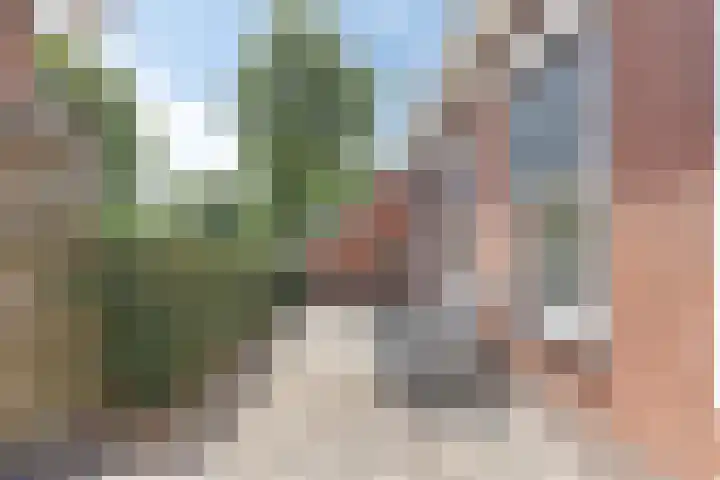 Meester Holtropstraat 26 Bruchterveld thumbnail 44
