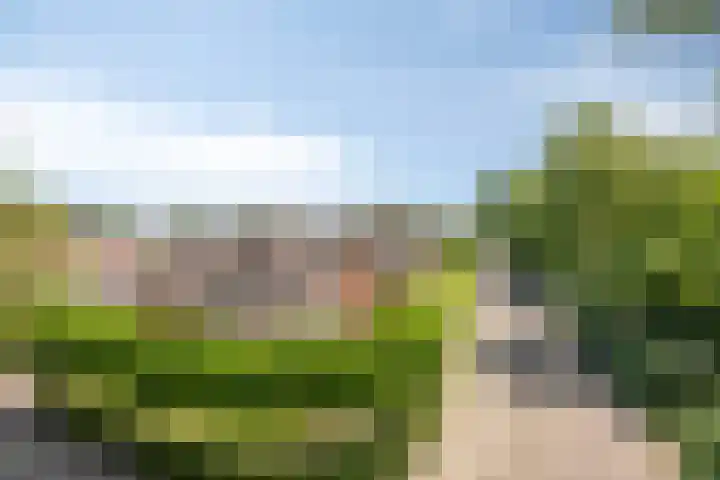 Meester Holtropstraat 26 Bruchterveld thumbnail 46