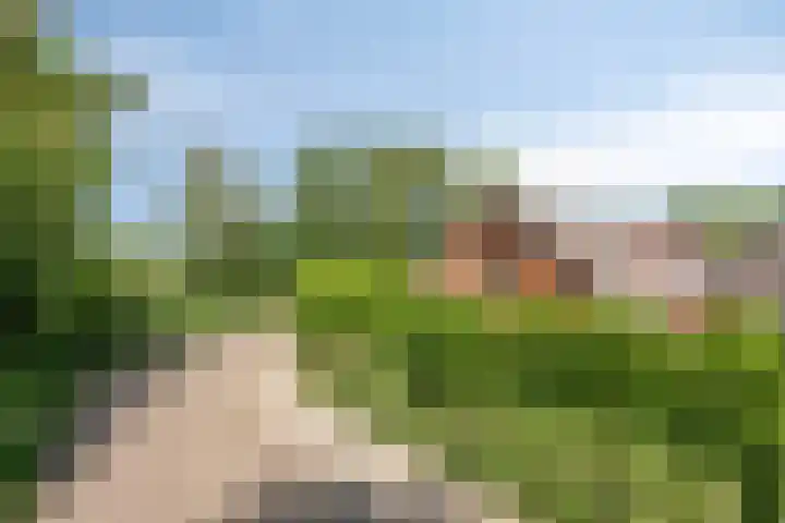 Meester Holtropstraat 26 Bruchterveld thumbnail 47