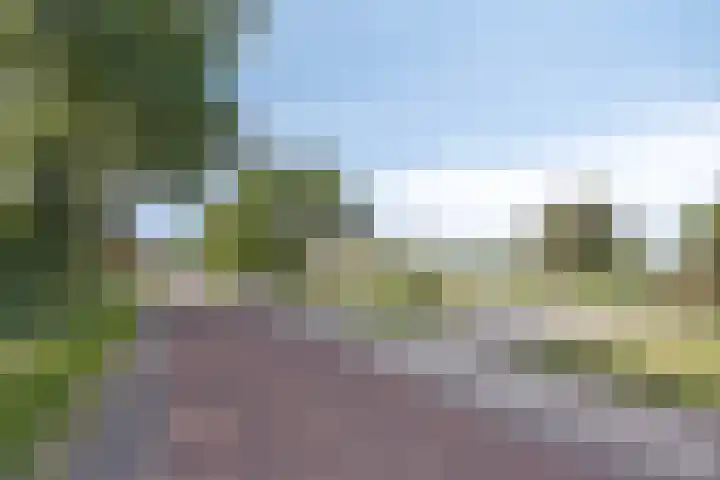 Meester Holtropstraat 26 Bruchterveld thumbnail 48