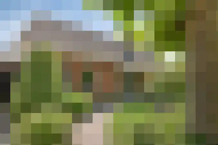 Meester Holtropstraat 26 Bruchterveld thumbnail 5