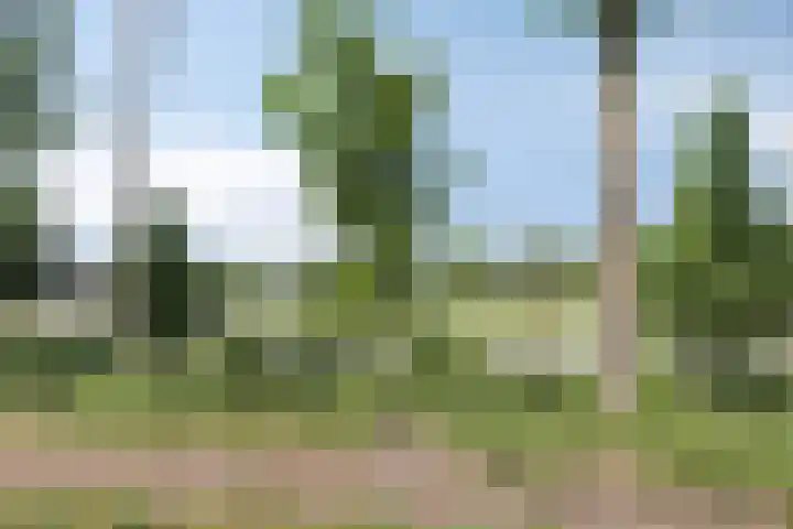 Meester Holtropstraat 26 Bruchterveld thumbnail 50