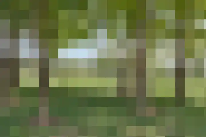 Meester Holtropstraat 26 Bruchterveld thumbnail 51