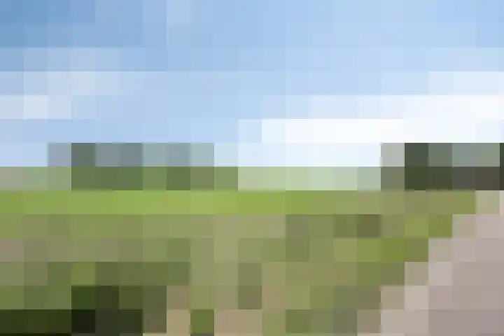 Meester Holtropstraat 26 Bruchterveld thumbnail 52
