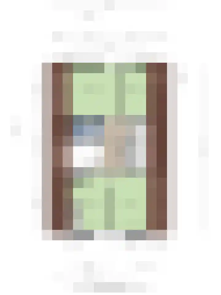 Meester Holtropstraat 26 Bruchterveld thumbnail 54