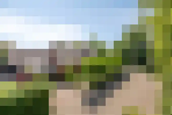 Meester Holtropstraat 26 Bruchterveld thumbnail 57