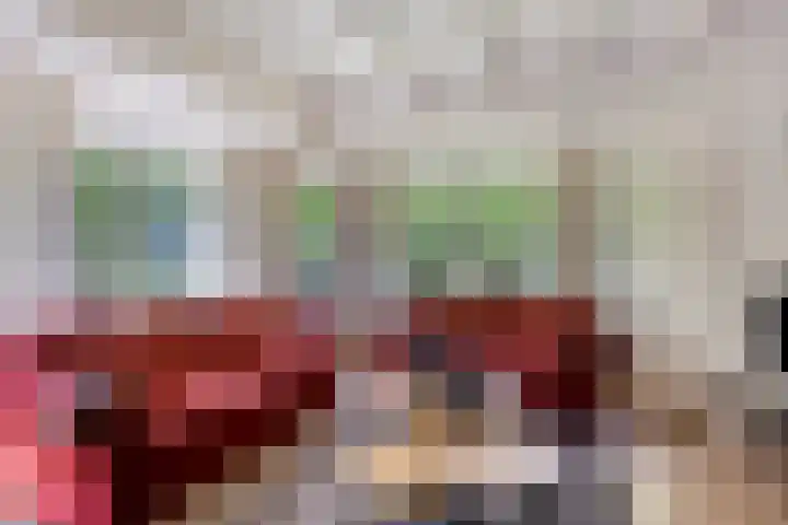 Meester Holtropstraat 26 Bruchterveld thumbnail 8