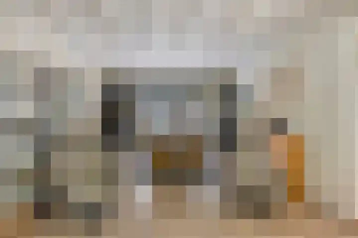 Meester Holtropstraat 26 Bruchterveld thumbnail 9