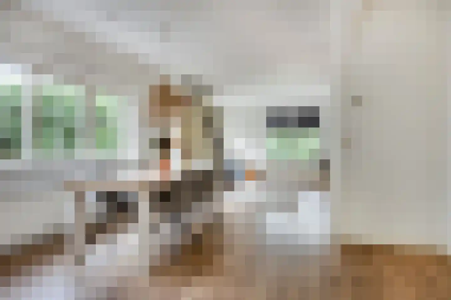 Meester Holtropstraat 28 Bruchterveld thumbnail 10