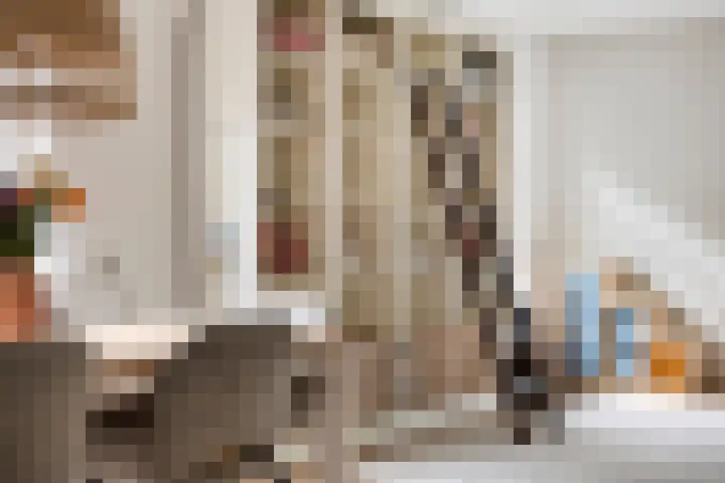 Meester Holtropstraat 28 Bruchterveld thumbnail 11